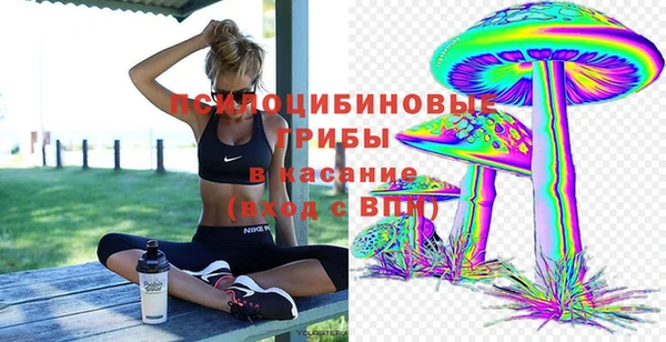 мдпв Киреевск