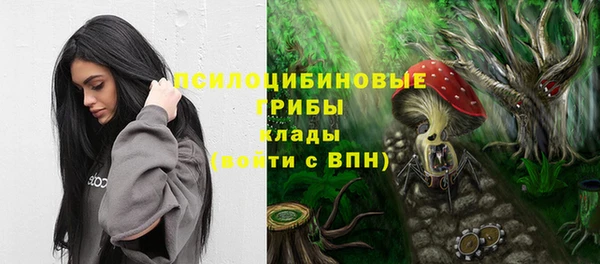 ECSTASY Карталы